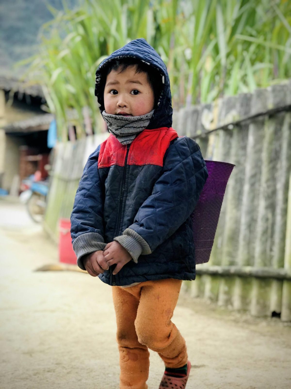 Vietnam travel photo