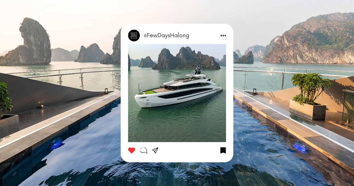Taliya Cruise Review (2025): Lan Ha Bay Day Cruise with Kayaking, Caves & Buffet Lunch