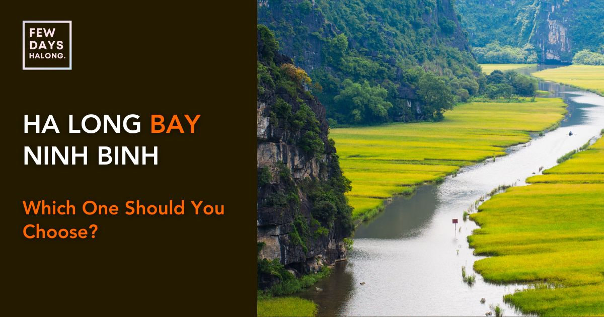 Ha Long Bay vs Ninh Binh: Which One Should You Choose?