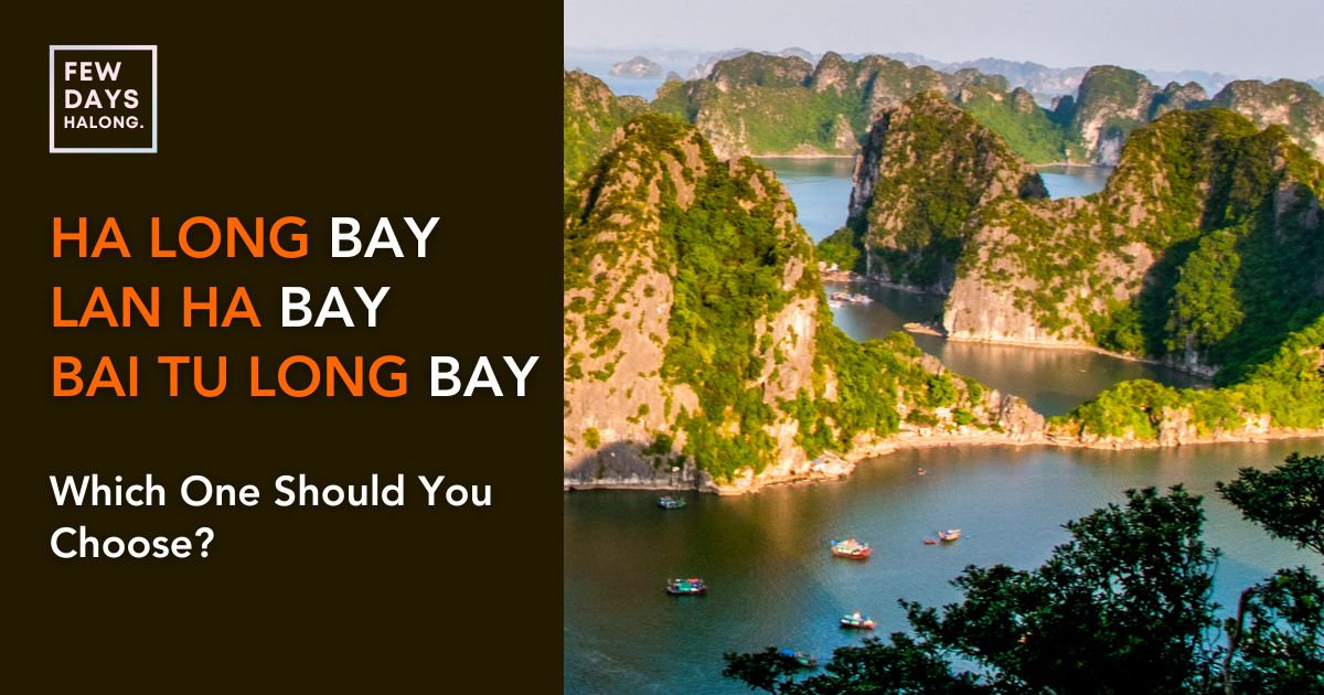 Ha Long Bay vs Lan Ha Bay vs Bai Tu Long Bay: Which One Should You Choose?