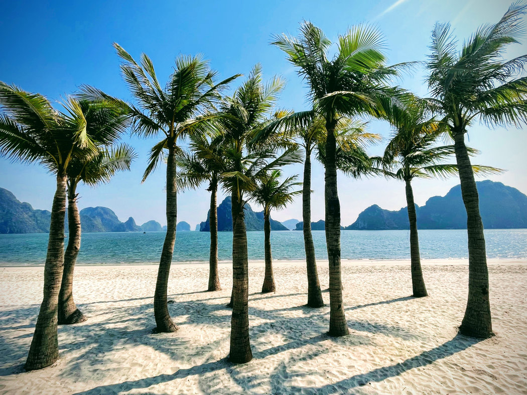 Ha Long Bay Weather: Sunshine, Scenic Views, and Surprises!