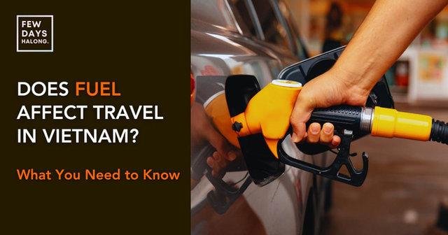 Do Fuel Prices Affect Travel in Vietnam? (2026 Update)