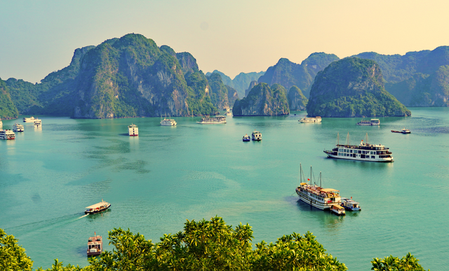 The Ultimate Guide to Ha Long Bay Cruises: Which One Is Right for You?