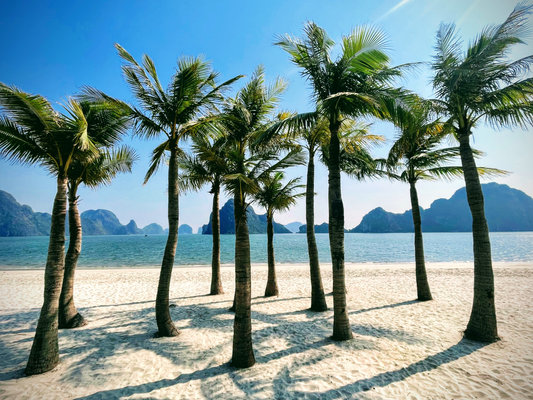 Ha Long Bay Weather: Sunshine, Scenic Views and Surprises