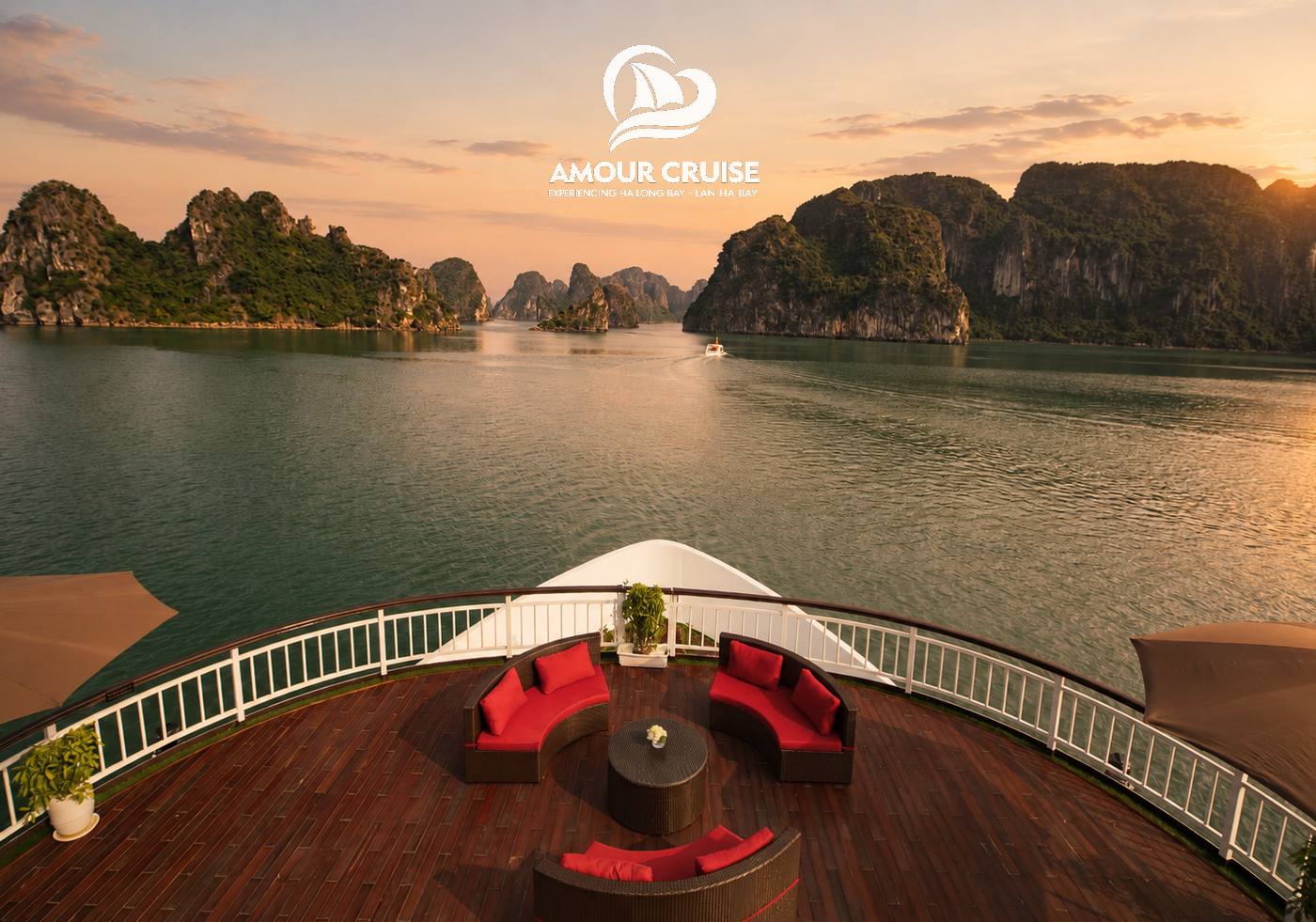 Amour Cruise
