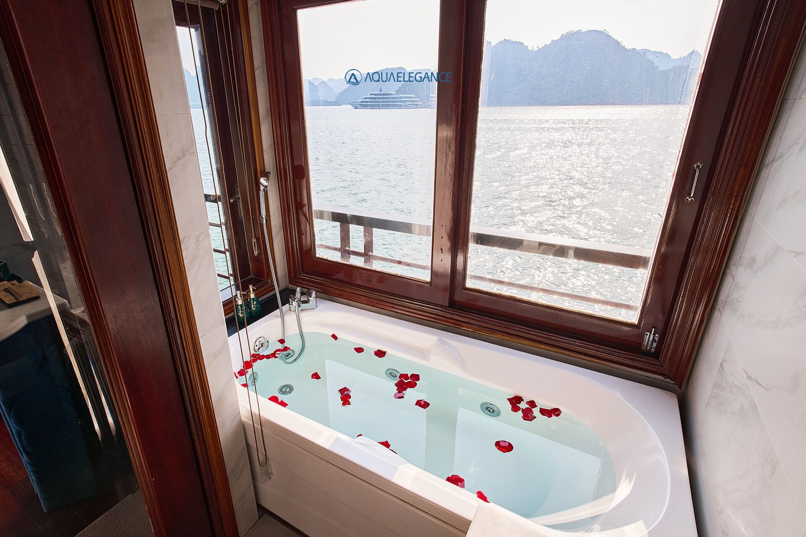 Aqua Elegance Cruise