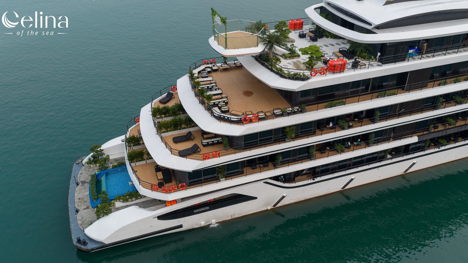 Celina of The Sea Cruise