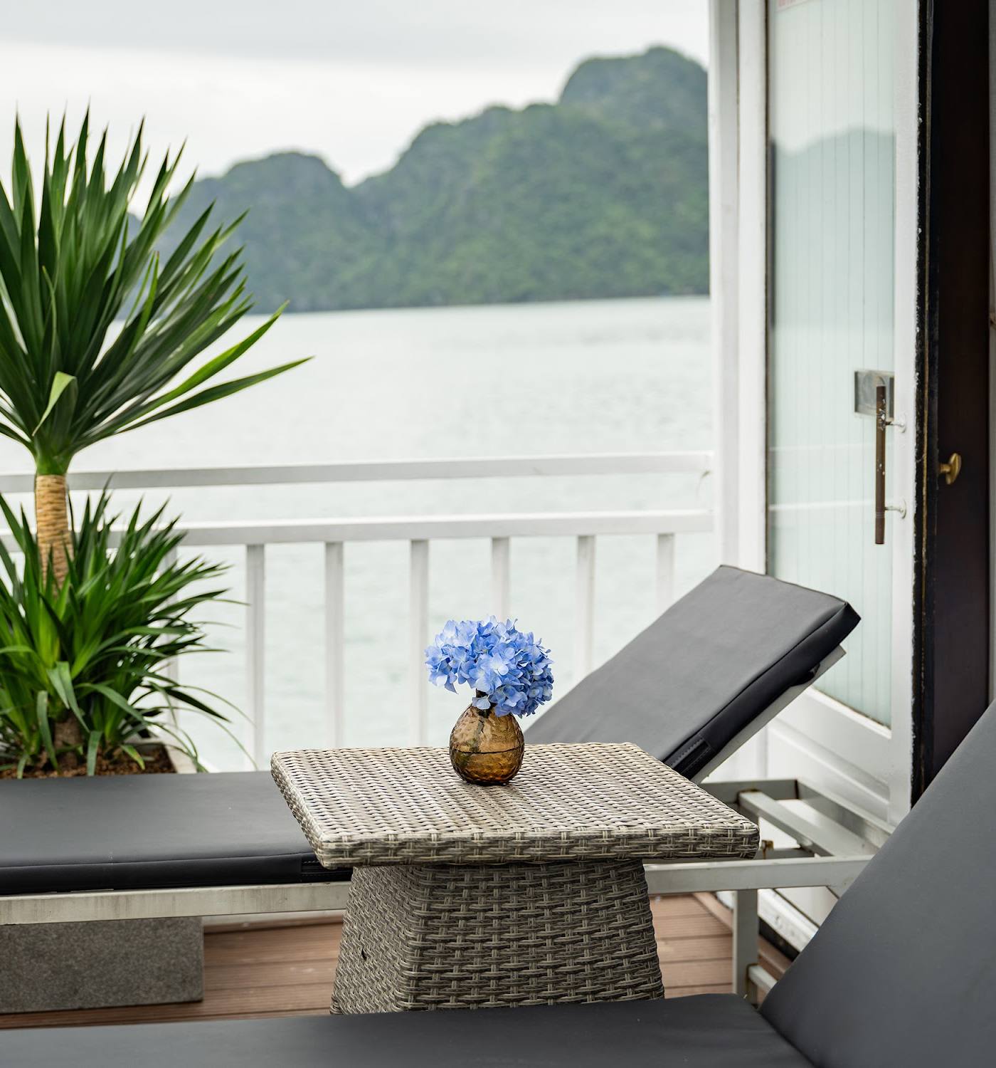 Cozy Bay Grand Cruise