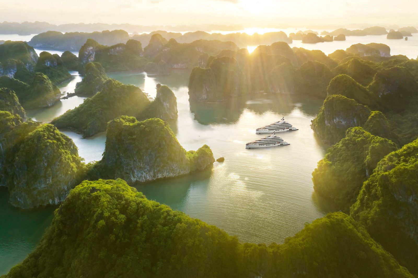 Grand Pioneers Cruise