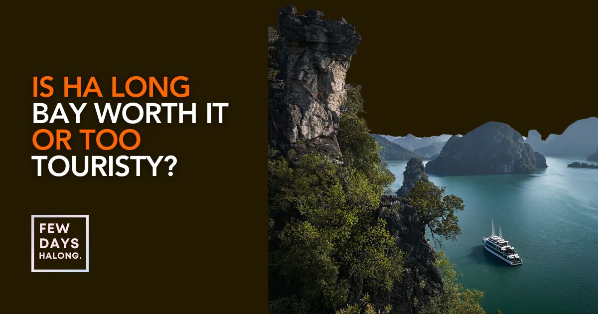 Limestone karsts rising from the calm green water of Ha Long Bay at first light