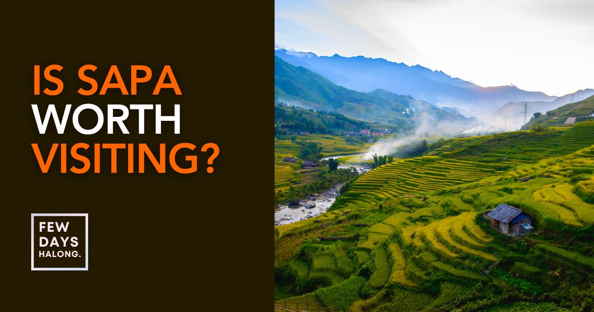 Green rice terraces stepping down the Muong Hoa valley below Sapa in the morning light