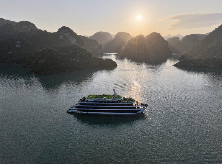 Venus Cruise