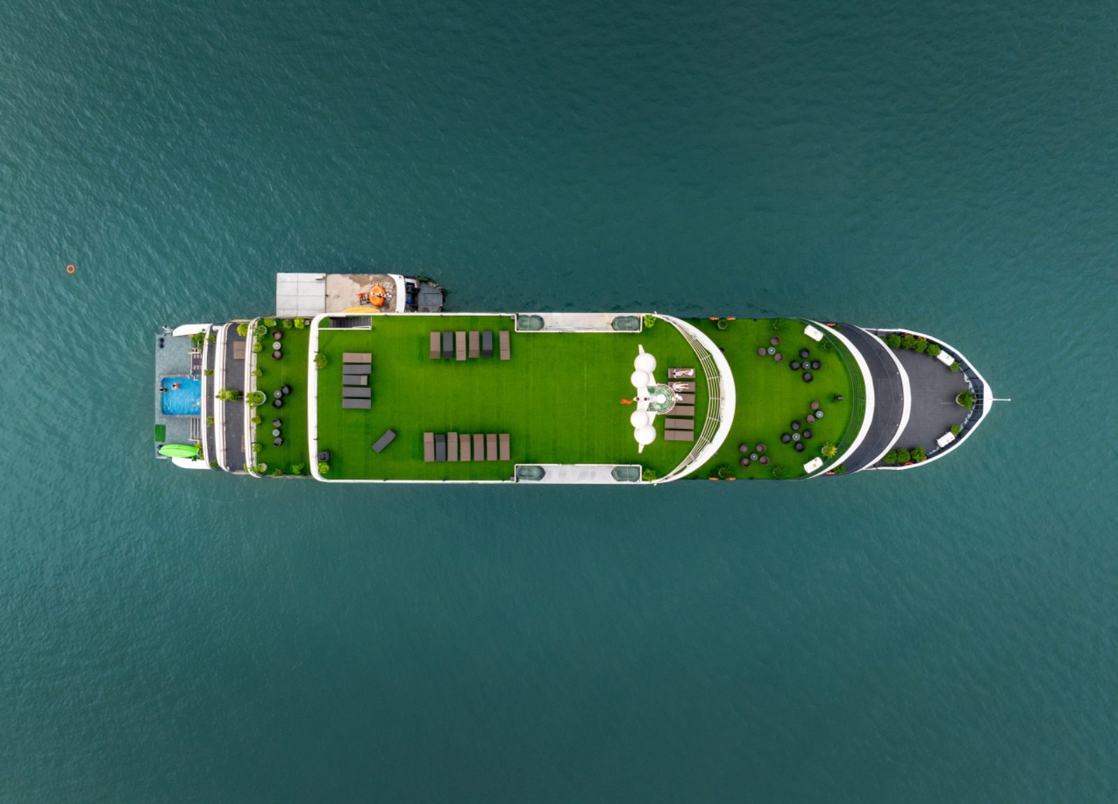 Venus Cruise