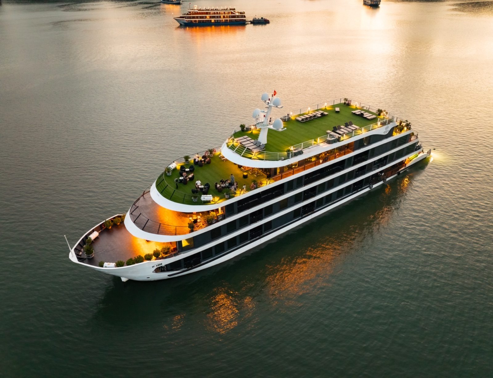 Venus Cruise