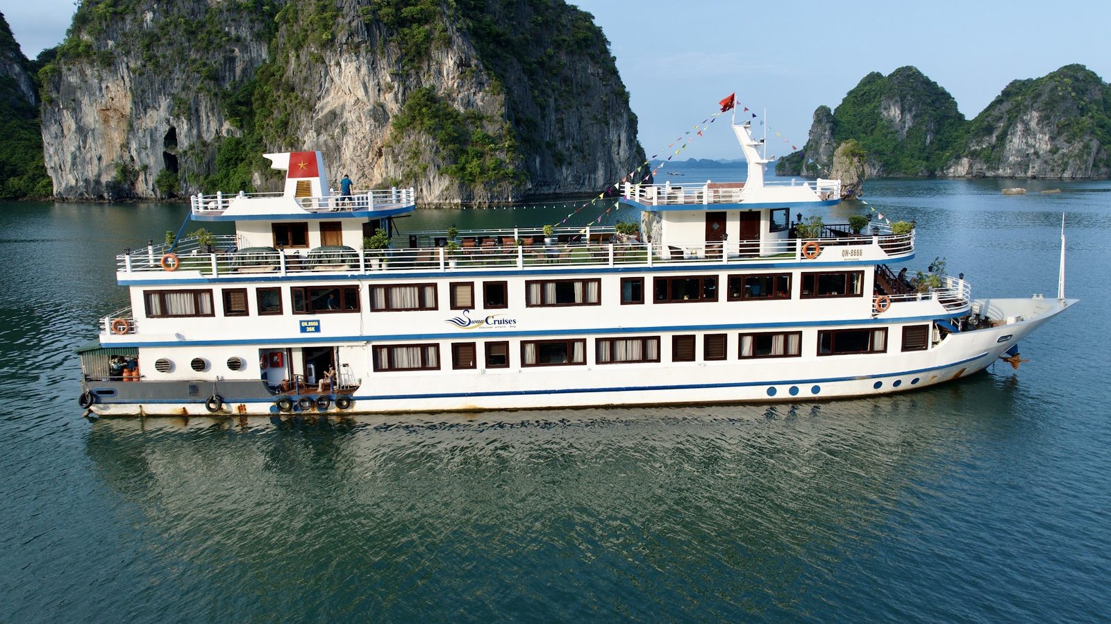 Swan Cruise