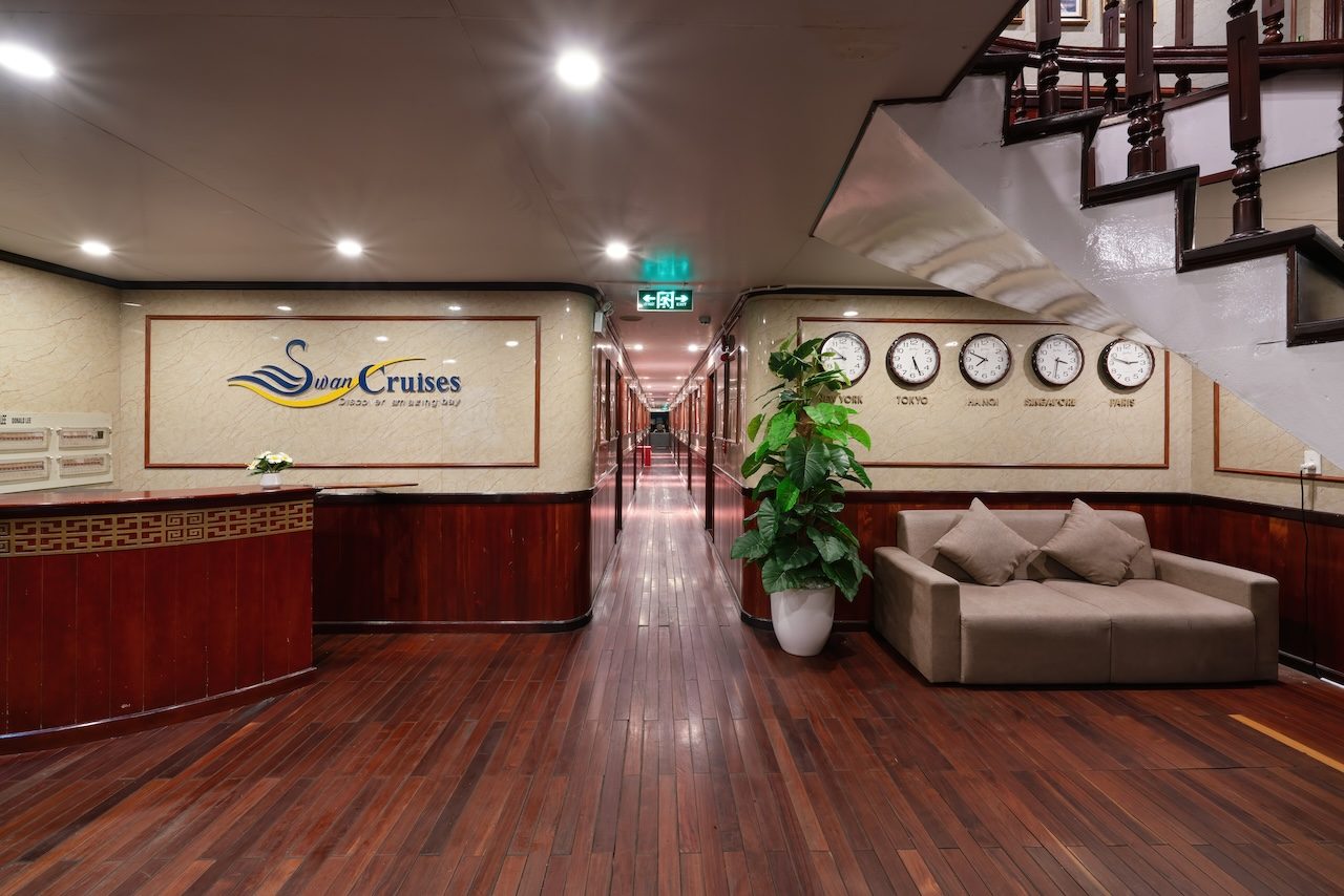 Swan Cruise