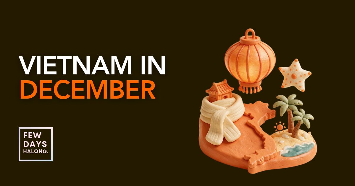 Vietnam in December: Weather, Festive Season and Where to Go