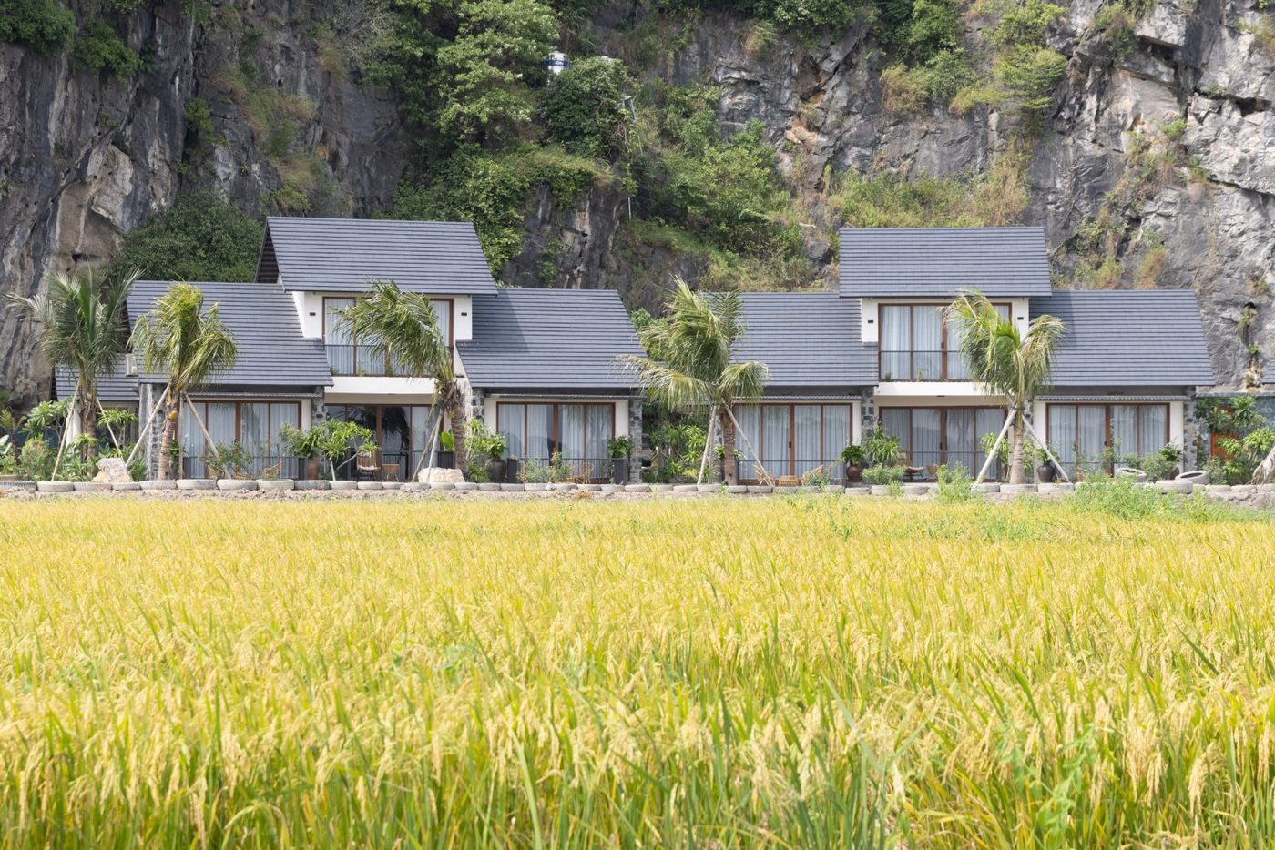 Athena Premier Resort