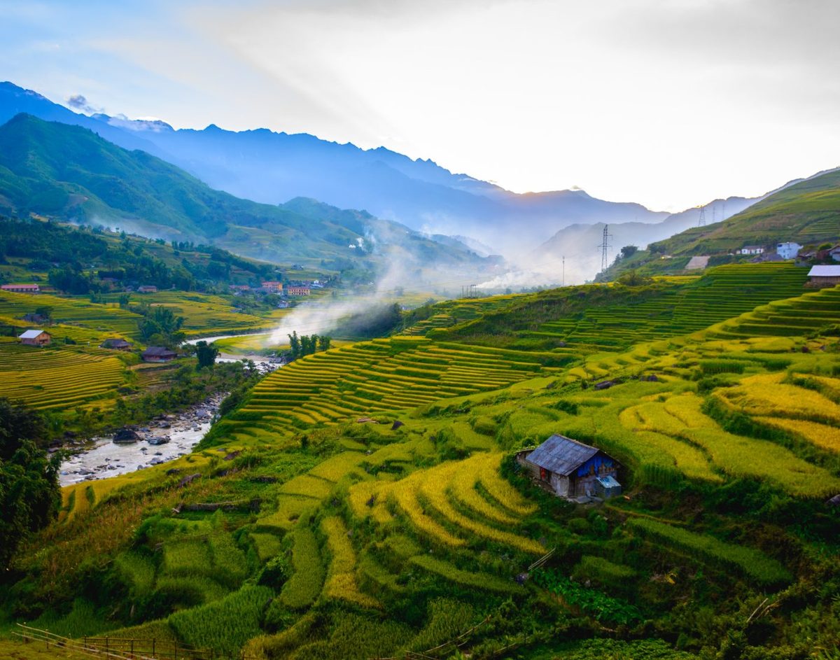 Terraced rice fields in Sapa valley