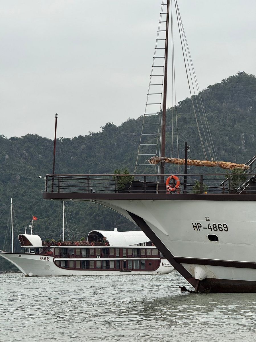 Cruise ships moored in Ha Long Bay Cruise ships moored in Ha Long Bay