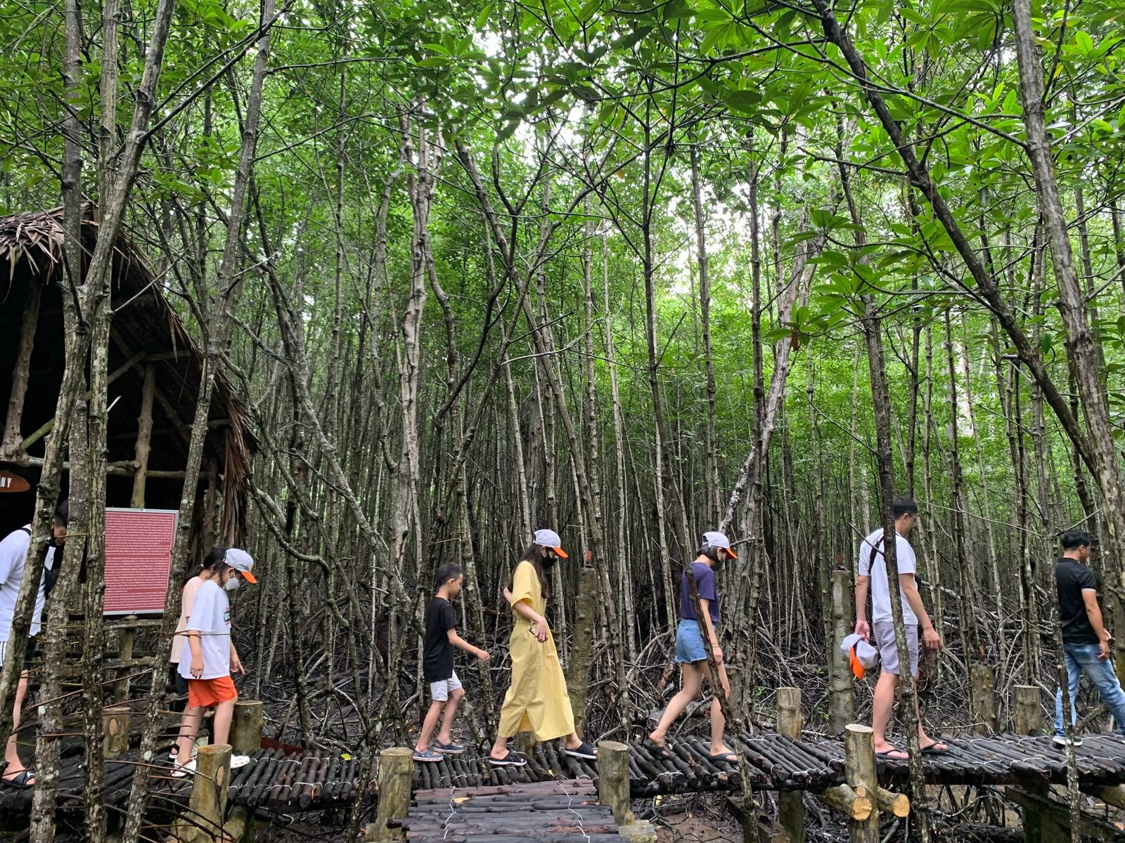 Can Gio Mangrove Eco & Wildlife Full-Day Tour photo 1