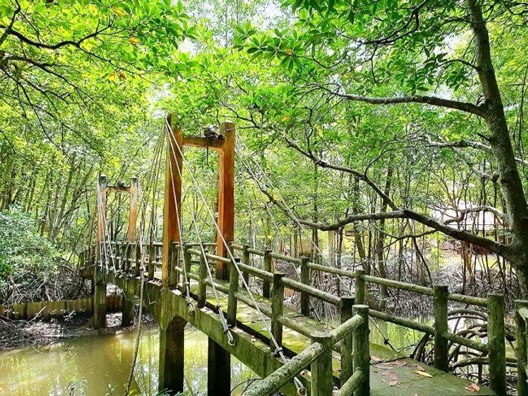 Can Gio Mangrove Eco & Wildlife Full-Day Tour photo 2