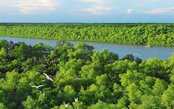 Can Gio Mangrove Eco & Wildlife Full-Day Tour photo 4