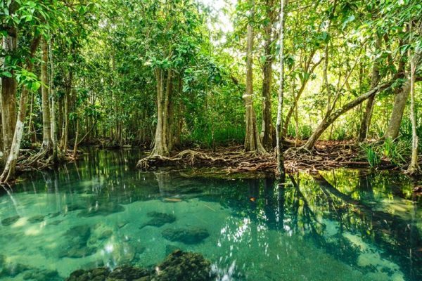 Can Gio Mangrove Eco & Wildlife Full-Day Tour photo 5