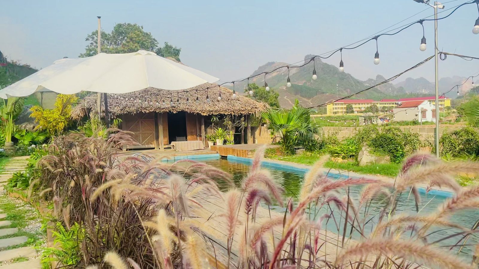 Man's Farm Ha Long