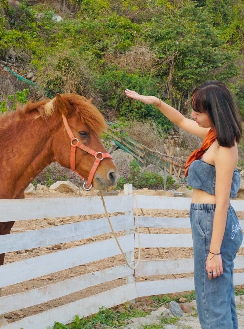 Man's Farm Ha Long
