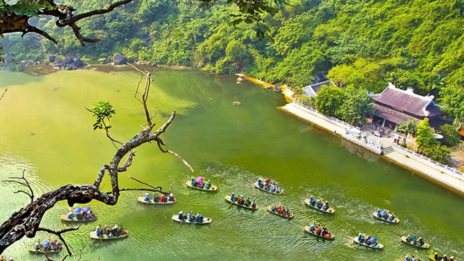 Ninh Binh group tour — scenery and activities