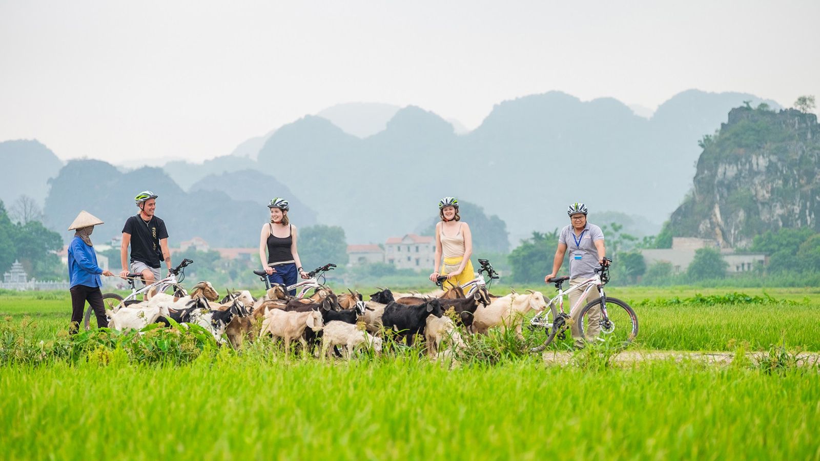 Ninh Binh group tour — scenery and activities
