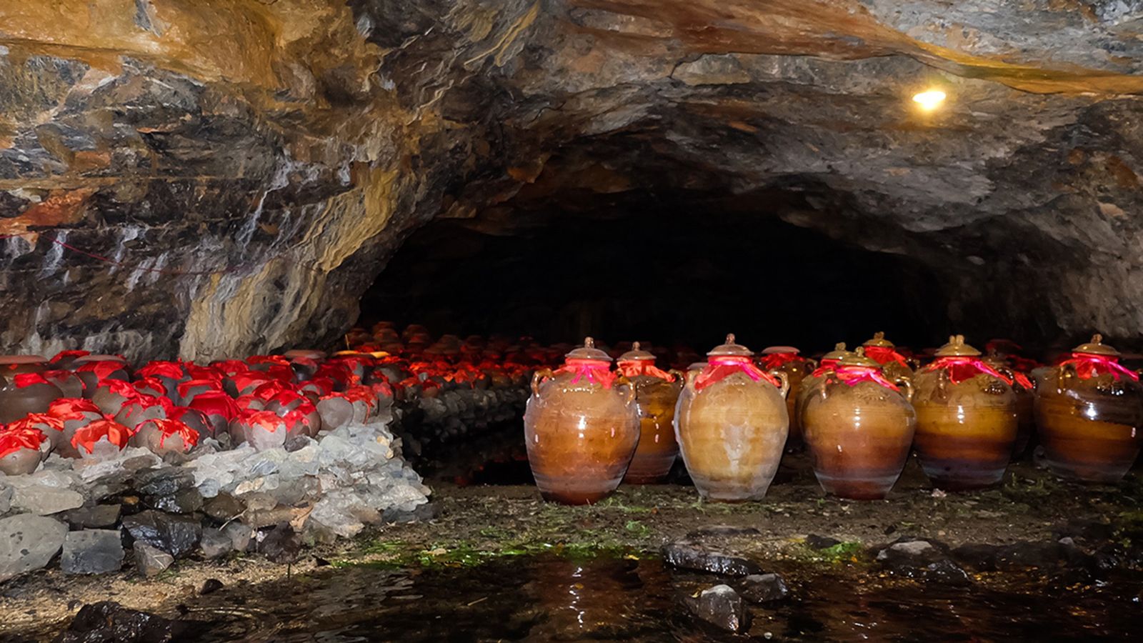Ninh Binh group tour — scenery and activities