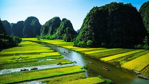 Ninh Binh heritage tour — temples and limestone scenery