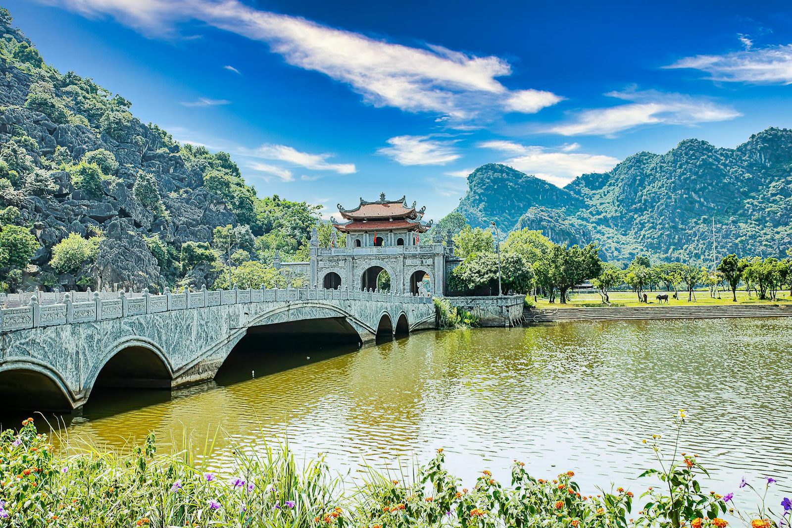 Ninh Binh heritage tour — temples and limestone scenery
