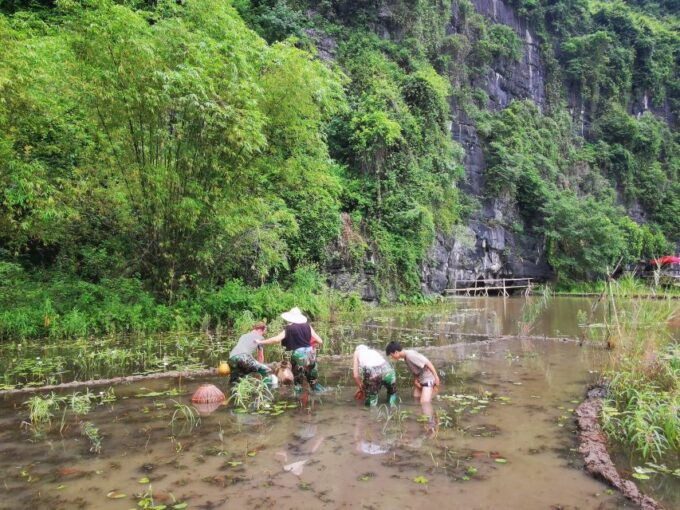 Ninh Binh heritage tour — temples and limestone scenery