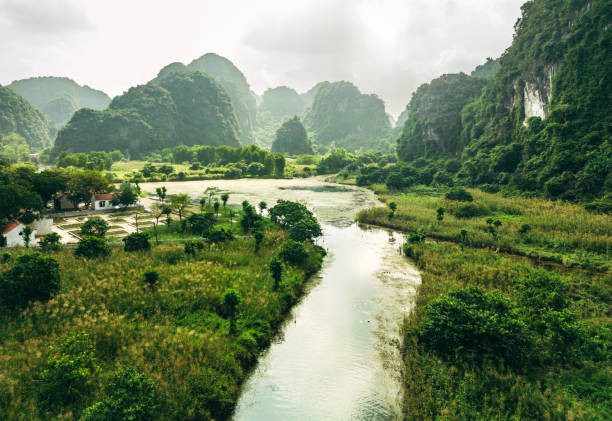 Ninh Binh heritage tour — temples and limestone scenery