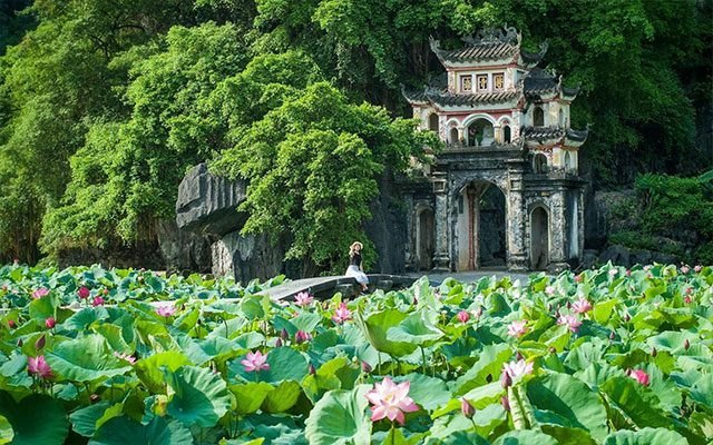 Tam Coc Cycling & Golden-Hour Countryside Ride photo 5