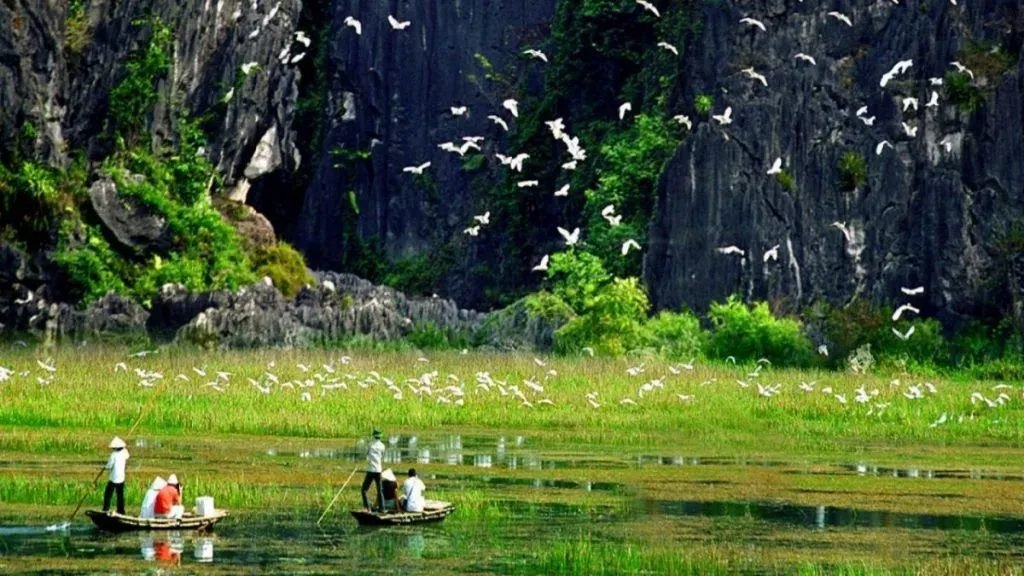 Tam Coc & Thung Nham Birds