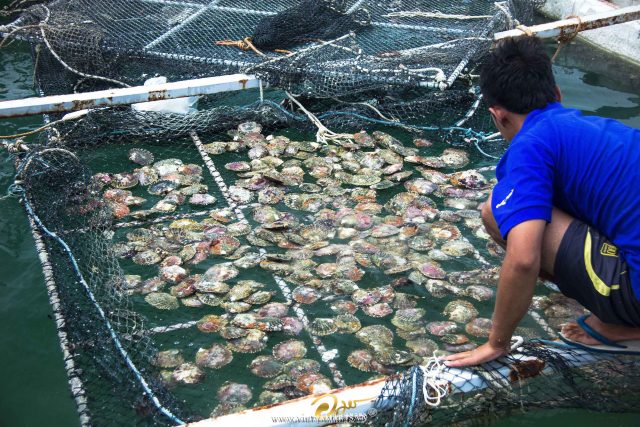 Phu Quoc Snorkelling & Fishing Island Adventure photo 1