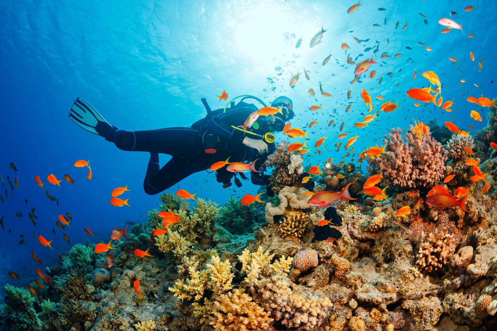 Phu Quoc Snorkelling & Fishing Island Adventure photo 4