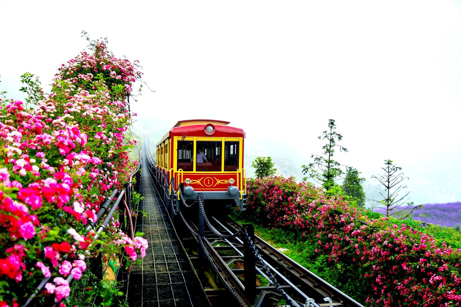 Full day Sapa tour