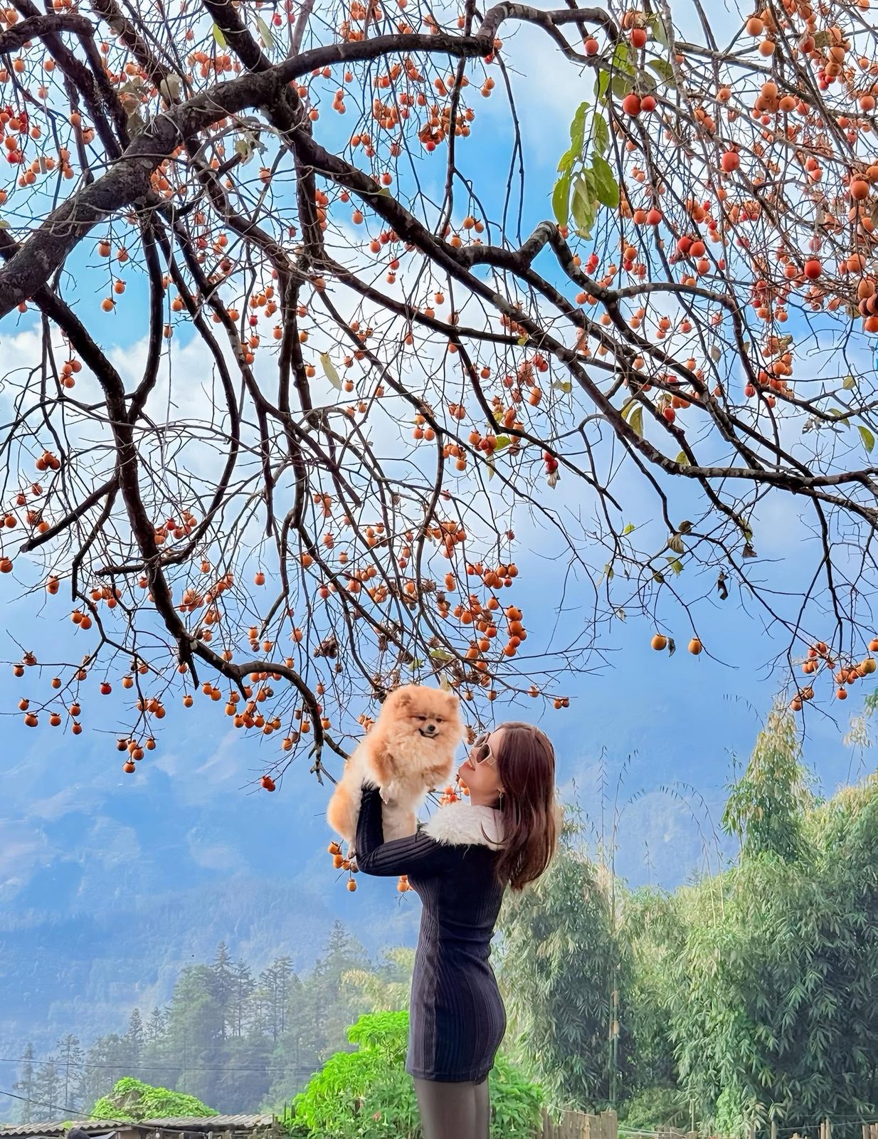 Moana Viewpoint & Mật Pet Farm