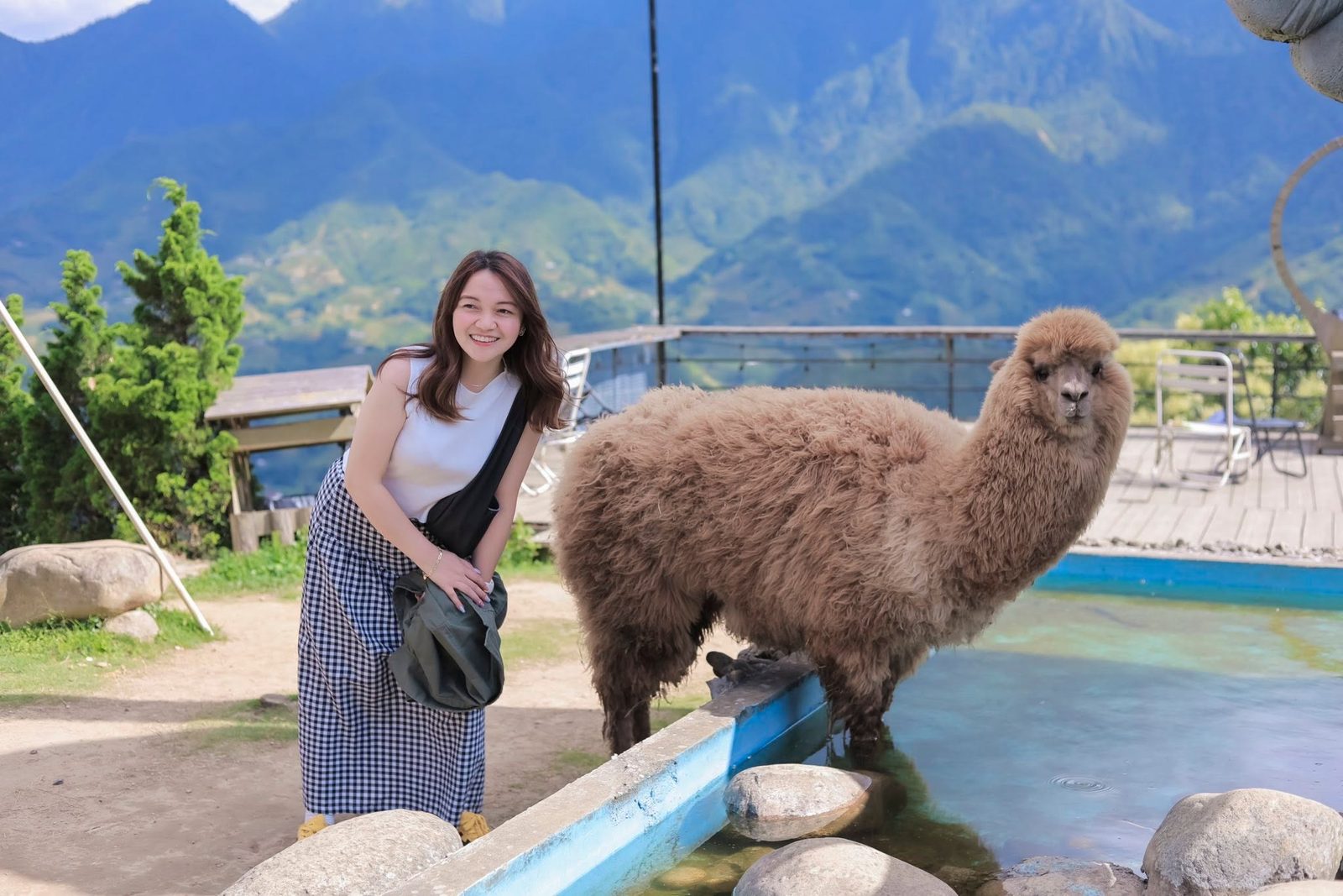 Moana Viewpoint & Mật Pet Farm